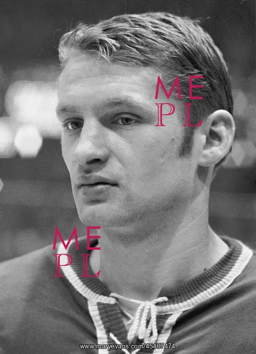 : Ice hockey player Jaroslav Holik : Ice hockey player Jaroslav Holik