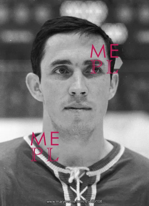 : Ice hockey player Josef Cerny : Ice hockey player Josef Cerny