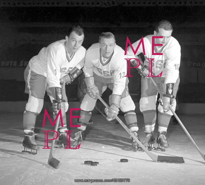  : Ice hockey players