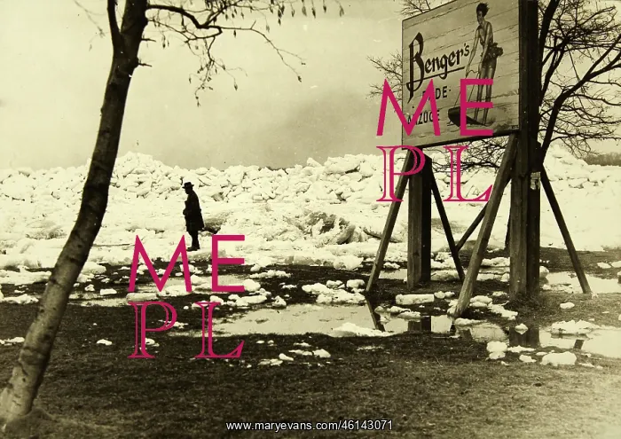 : Ice jam at the Vienna Danube with a poster : Ice jam at the Vienna Danube with a poster