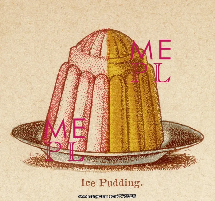  : ICE PUDDING