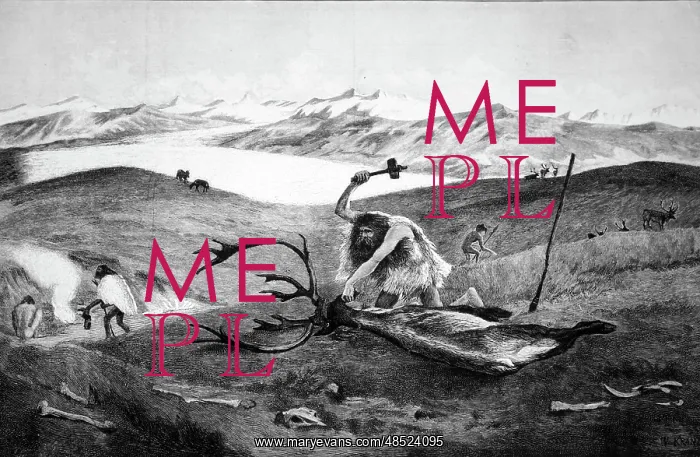 : Iceage - Stoneage. Man butchering a beast using an axe : Iceage - Stoneage. Man butchering a beast using an axe