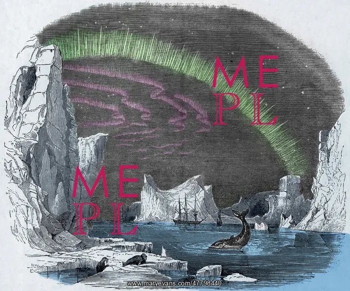 : Icebergs and Aurora Borealis, 1849 : Icebergs and Aurora Borealis, 1849