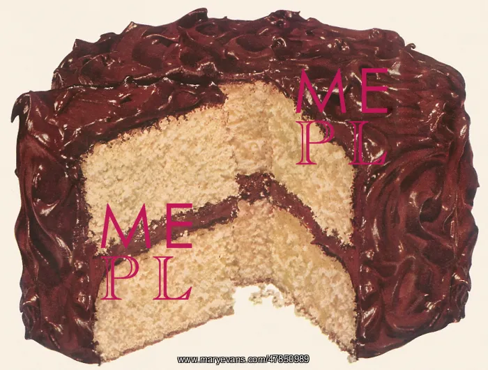 : Iced Yellow Layer Cake : Iced Yellow Layer Cake