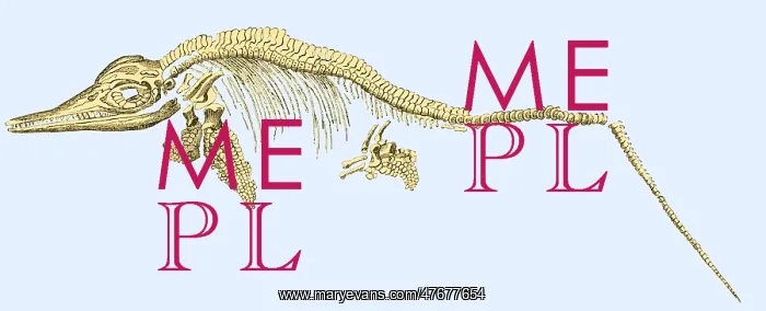 : Ichthyosaur Fossil, Illustration : Ichthyosaur Fossil, Illustration