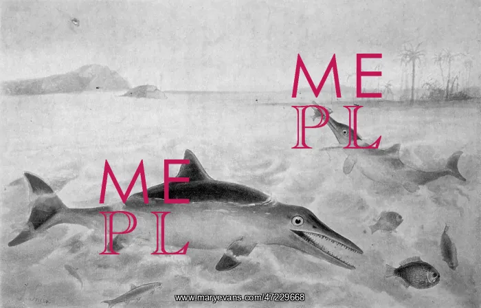 : ICHTHYOSAURUS : ICHTHYOSAURUS