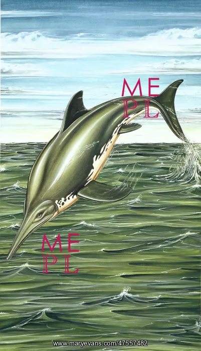 : Ichthyosaurus : Ichthyosaurus
