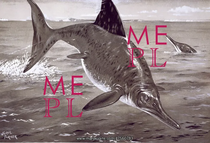 : Ichthyosaurus : Ichthyosaurus