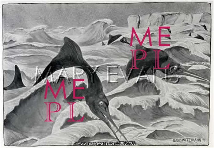 : Two Ichthyosaurus : Two Ichthyosaurus