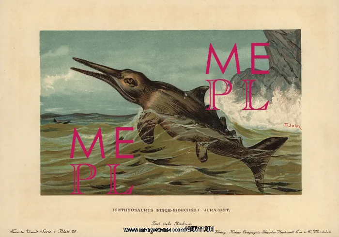 : Ichthyosaurus communis, extinct nektonic carnivore : Ichthyosaurus communis, extinct nektonic carnivore