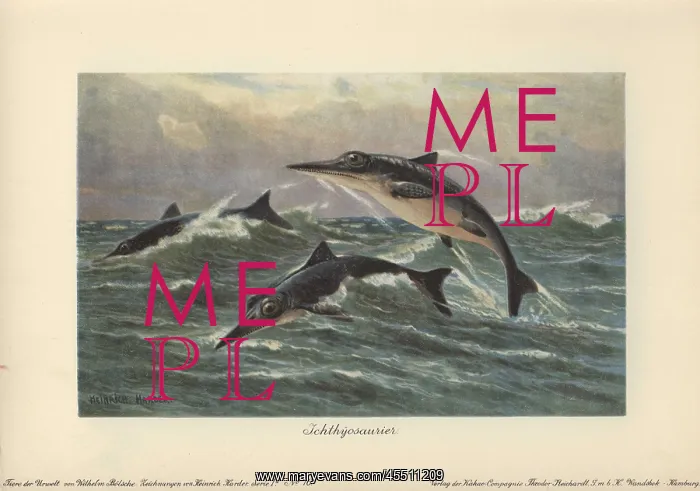  : Ichthyosaurus, extinct genus of ichthyosaur