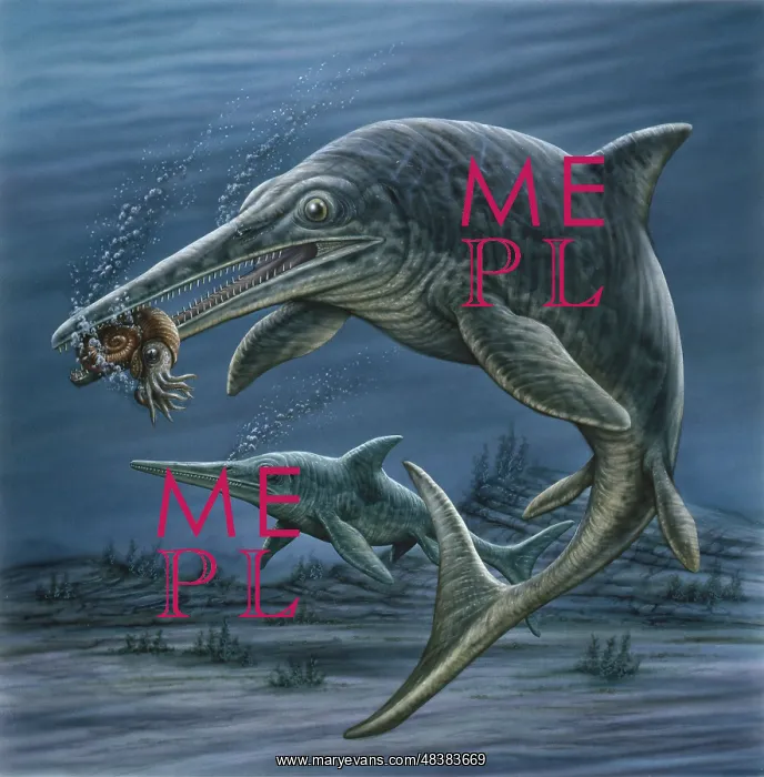 : Ichthyosaurus feeding on an ammonite : Ichthyosaurus feeding on an ammonite
