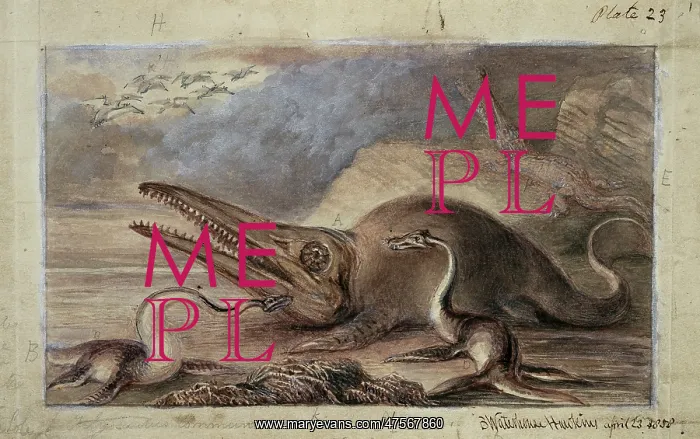: Ichthyosaurus, Plesiosaurus : Ichthyosaurus, Plesiosaurus