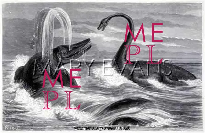 : Ichthyosaurus and Plesiosaurus : Ichthyosaurus and Plesiosaurus