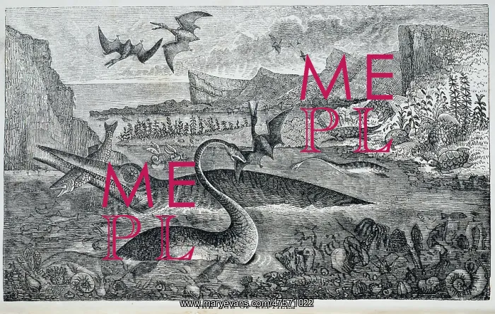 : Ichthyosaurus, Pterodactylus, Plesiosaurus : Ichthyosaurus, Pterodactylus, Plesiosaurus