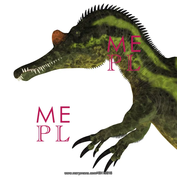 : Ichthyovenator dinosaur head : Ichthyovenator dinosaur head