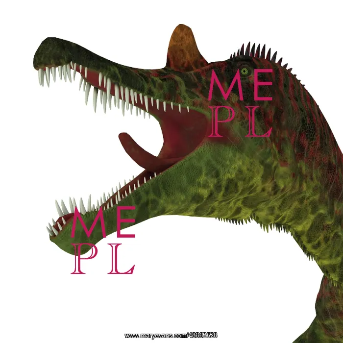 : Ichthyovenator dinosaur head : Ichthyovenator dinosaur head