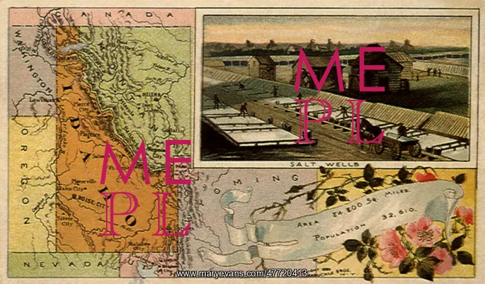  : Idaho and Salt Wells