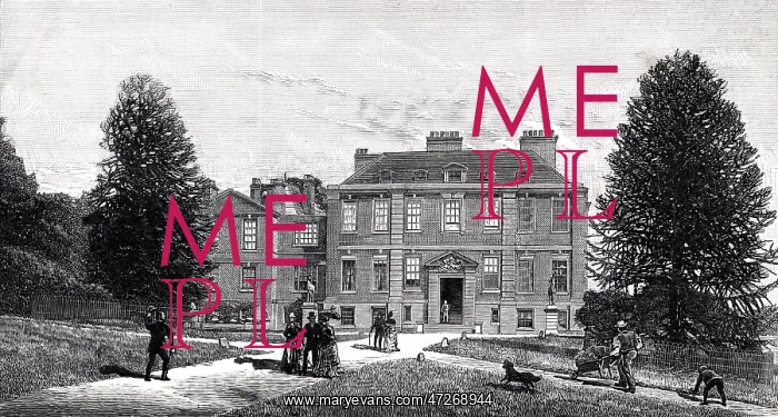 : IDDESLEIGH / HOME / PYNES : IDDESLEIGH / HOME / PYNES