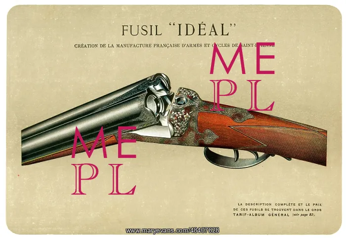  : Ideal gun by Mimard & Blachon