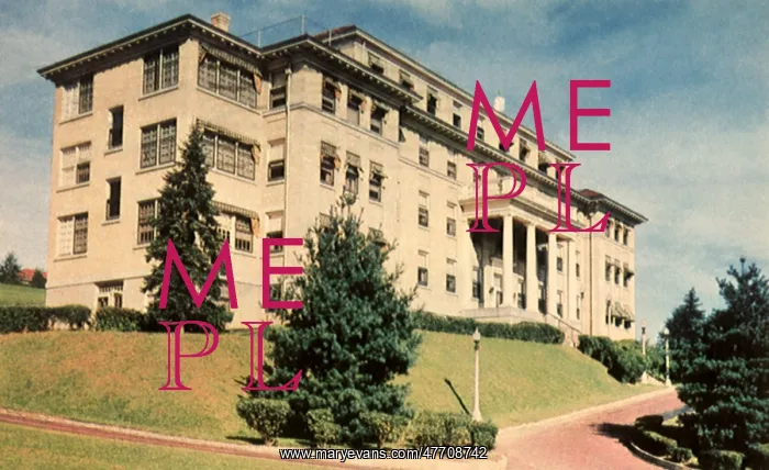 : Ideal Hospital. Endicott : Ideal Hospital. Endicott