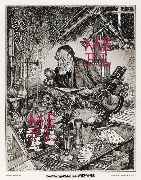 : Ideal Scientist : Ideal Scientist