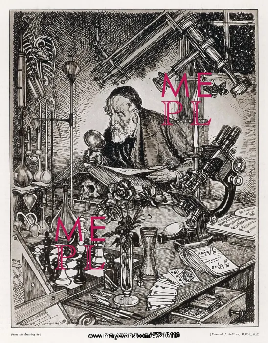 : Ideal Scientist : Ideal Scientist