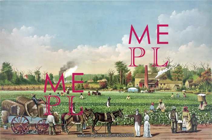 : Idealized view of cotton plantation on the ? : Idealized view of cotton plantation on the ?