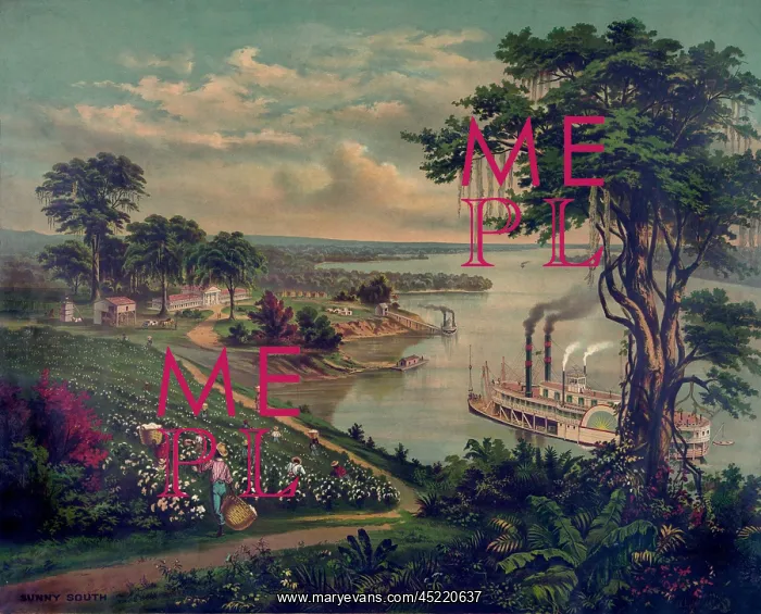 : Idealized view of a plantation in the Sunny ? : Idealized view of a plantation in the Sunny ?