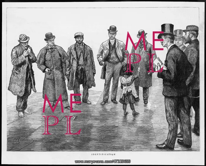 : IDENTIFICATION PARADE : IDENTIFICATION PARADE