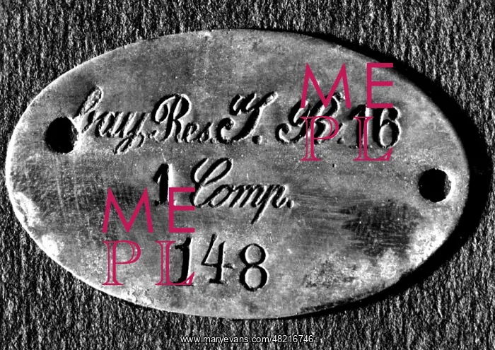 : Identification tag of Adolf Hitler : Identification tag of Adolf Hitler