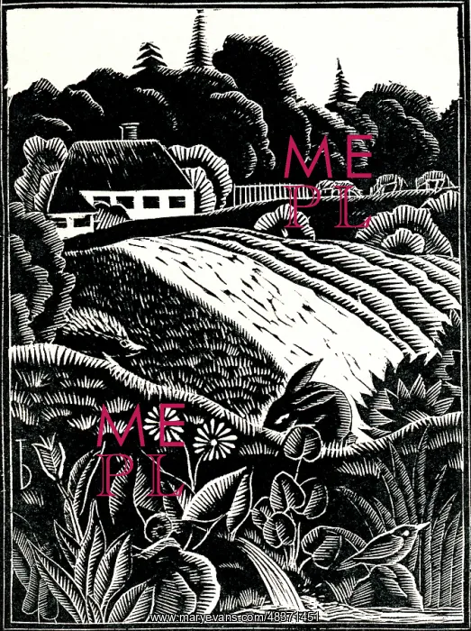  : An idyllic rural scene