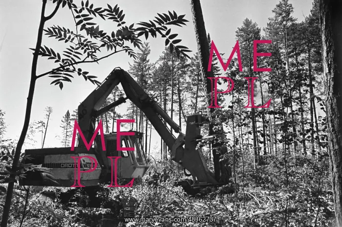 : Igirminskiy Experimental Logging Company : Igirminskiy Experimental Logging Company