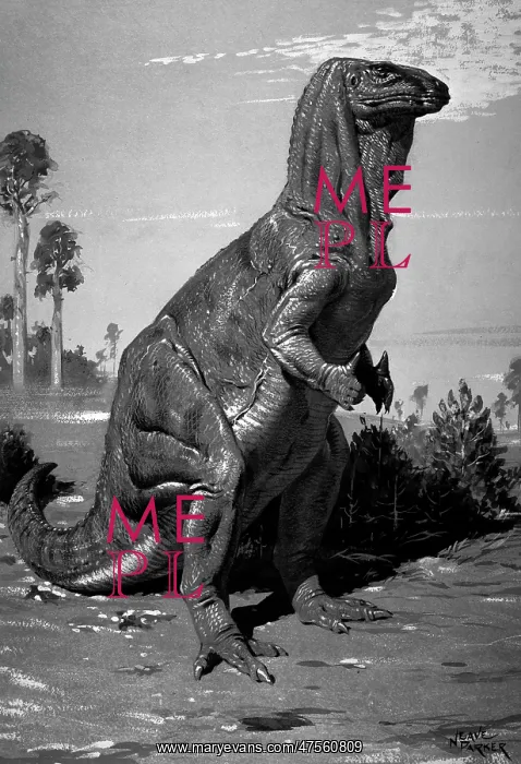 : Iguanodon. This dinosaur was a large bipedal herbivore which stood 14 feet high : Iguanodon. This dinosaur was a large bipedal herbivore which stood 14 feet high