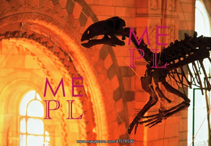 : Iguanodon. The Iguanodon skeleton on display in the Natural History Museum's : Iguanodon. The Iguanodon skeleton on display in the Natural History Museum's