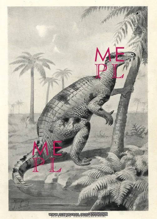  : Iguanodon bernissartensis