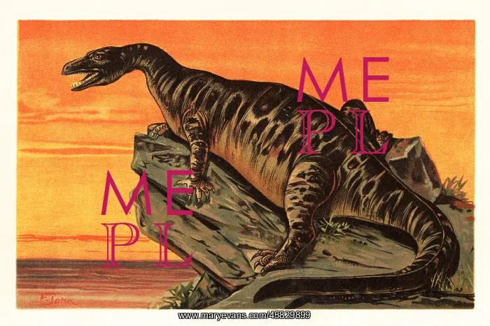 : Iguanodon bernissartensis, extinct species of : Iguanodon bernissartensis, extinct species of