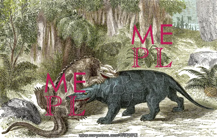 : Iguanodon Biting Megalosaurus : Iguanodon Biting Megalosaurus