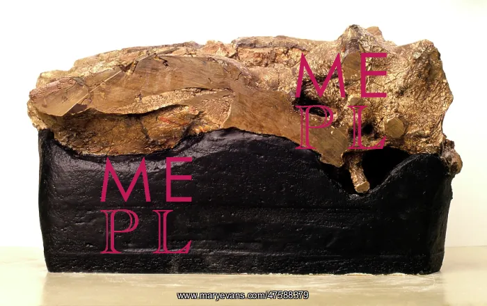 : Iguanodon brain : Iguanodon brain