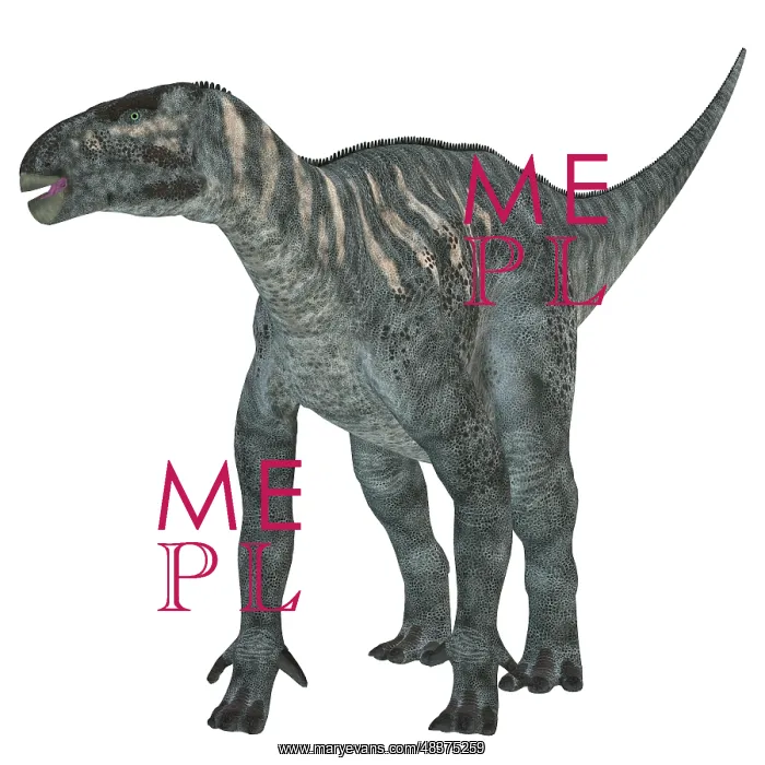 : Iguanodon dinosaur : Iguanodon dinosaur