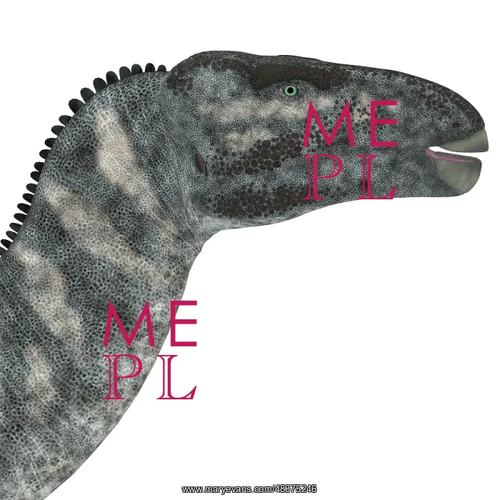 : Iguanodon dinosaur head : Iguanodon dinosaur head