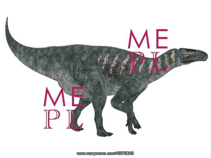 : Iguanodon dinosaur, white background : Iguanodon dinosaur, white background