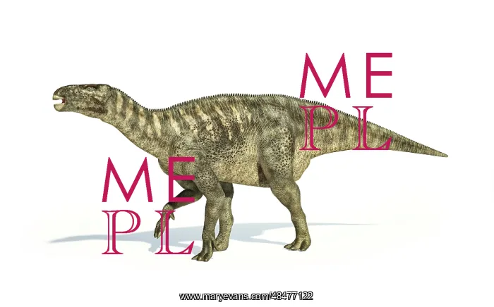 : Iguanodon dinosaur on white background : Iguanodon dinosaur on white background