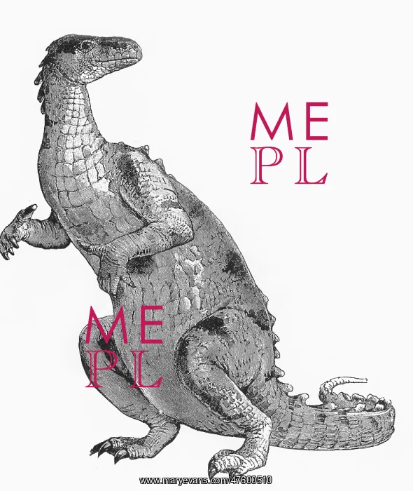  : Iguanodon Illustration