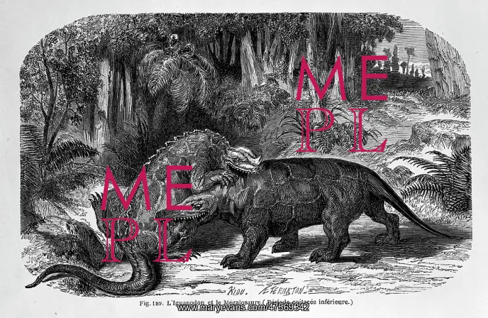 : Iguanodon & Megalosaurus : Iguanodon & Megalosaurus