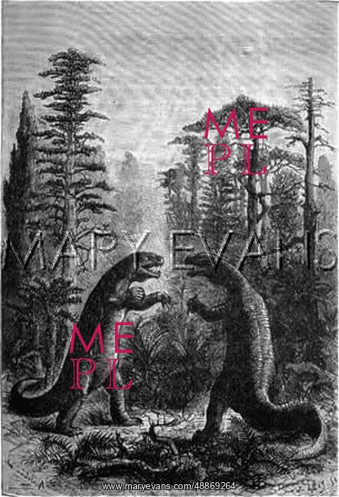 : IGUANODON, MEGALOSAURUS : IGUANODON, MEGALOSAURUS