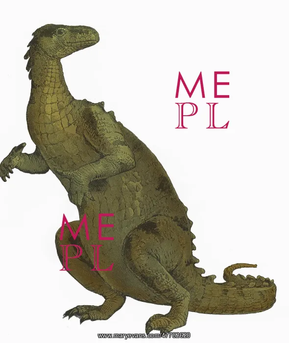 : Iguanodon, Mesozoic Dinosaur : Iguanodon, Mesozoic Dinosaur