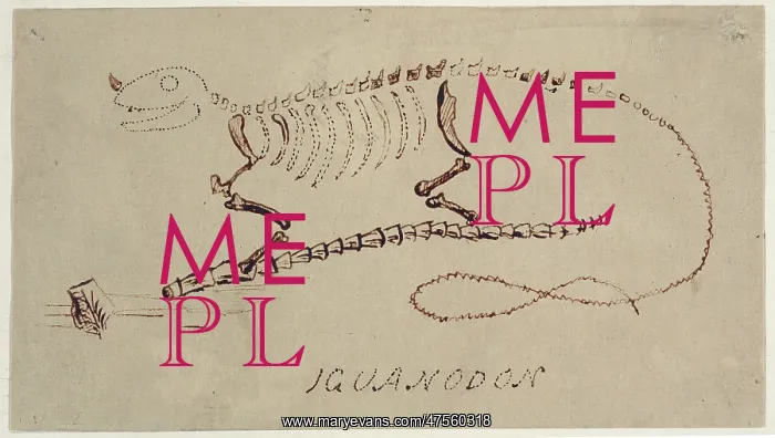 : Iguanodon reconstruction by Gideon Mantell : Iguanodon reconstruction by Gideon Mantell