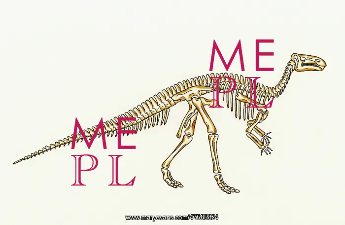: Iguanodon skeleton : Iguanodon skeleton