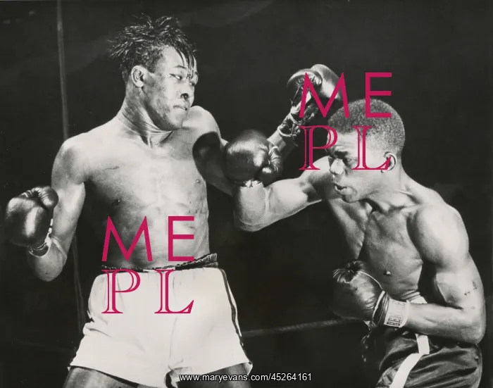 : Ike Williams (right) vs. Kid Gavilan in Madison : Ike Williams (right) vs. Kid Gavilan in Madison